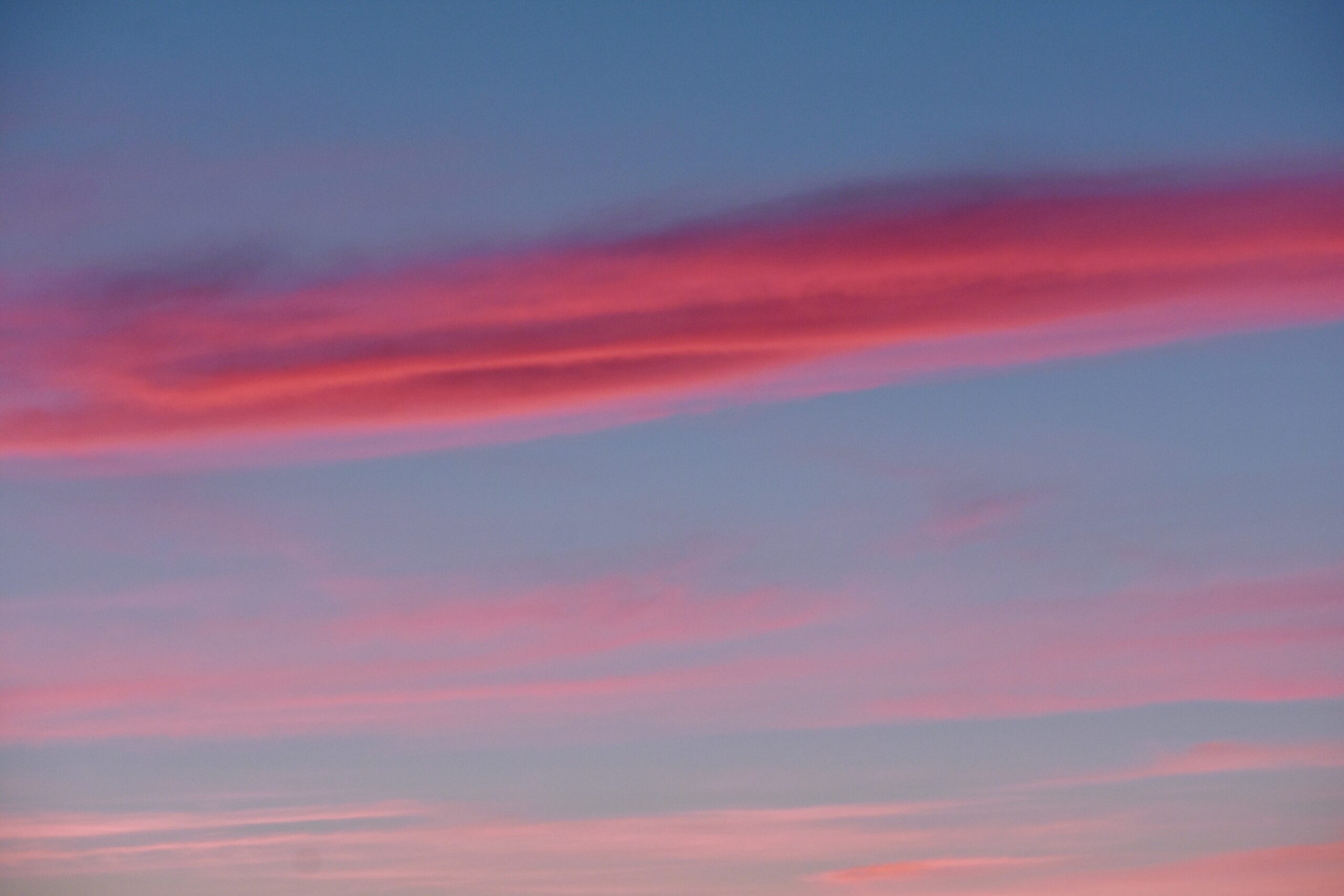 pexels-dids-2032895
